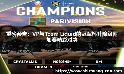 3003新葡的京集团