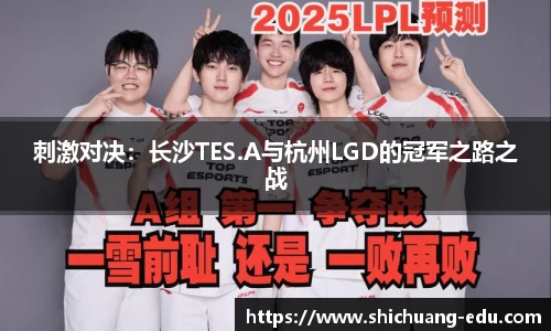 刺激对决：长沙TES.A与杭州LGD的冠军之路之战